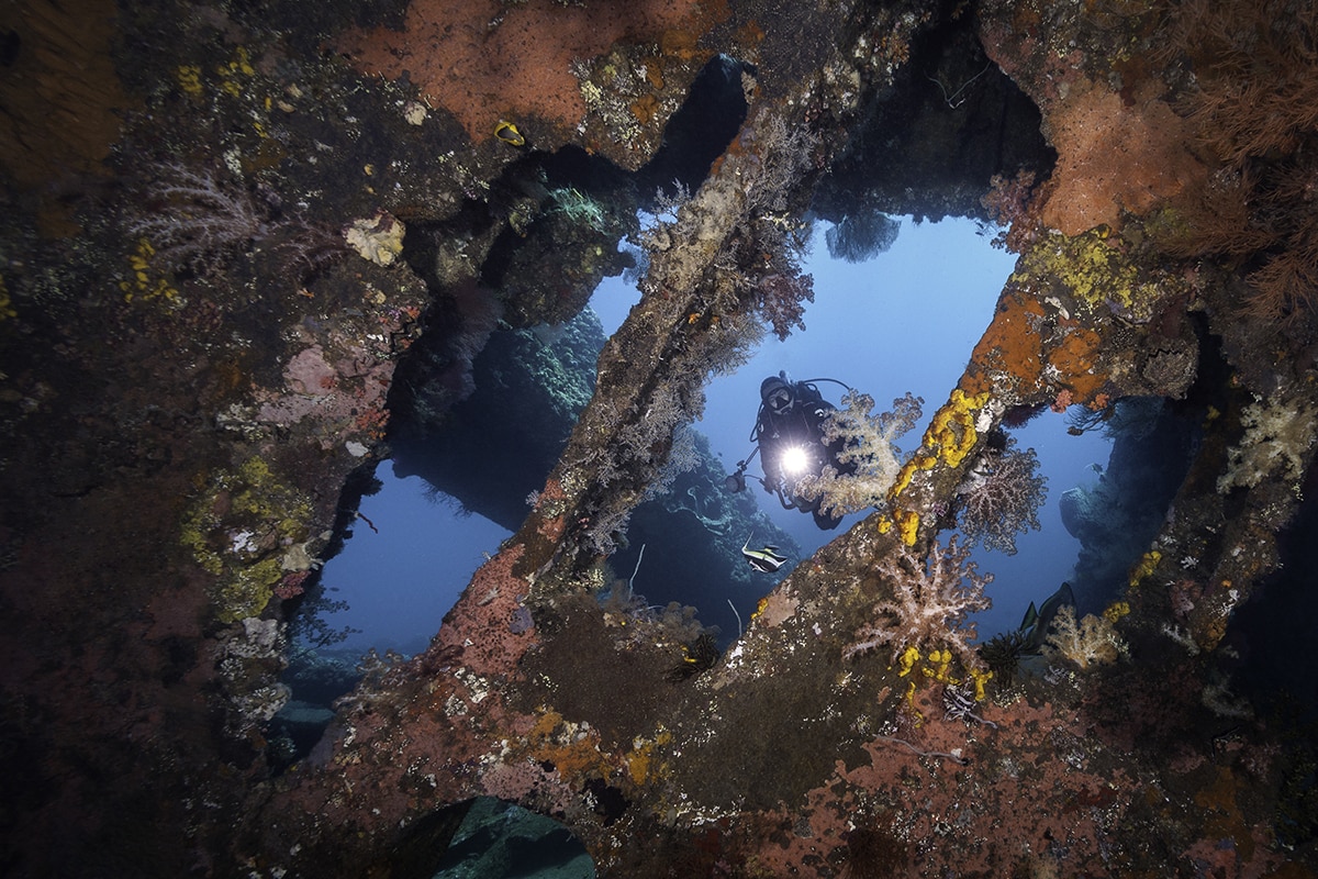Siddhartha Dive Center Underwater Wreck