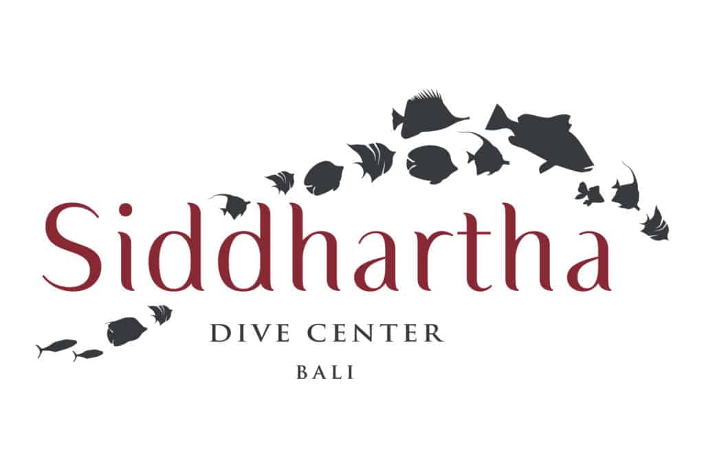 Siddhartha Dive Center Bali Indonesia