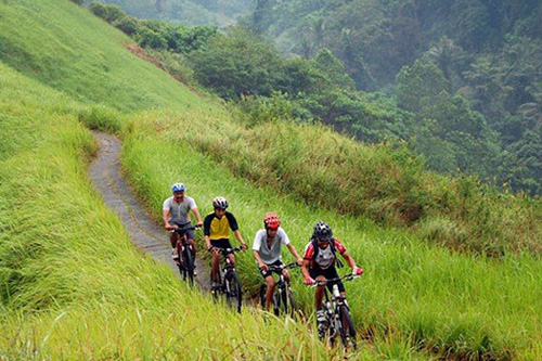 Cycling in Ubud