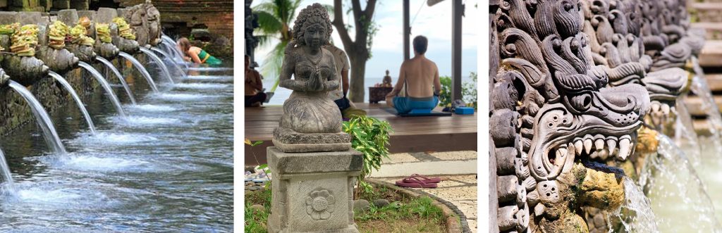 Siddhartha Bali Wellness Offerings