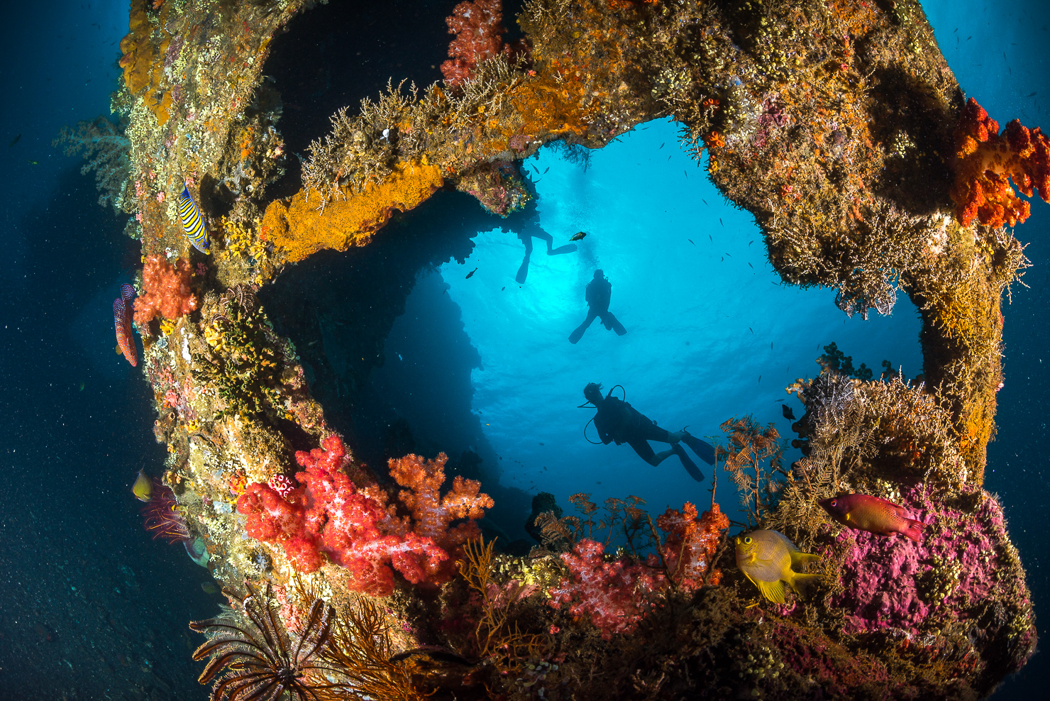 Siddhartha Bali Resort Scuba Diving Liberty Wreck Tulaben