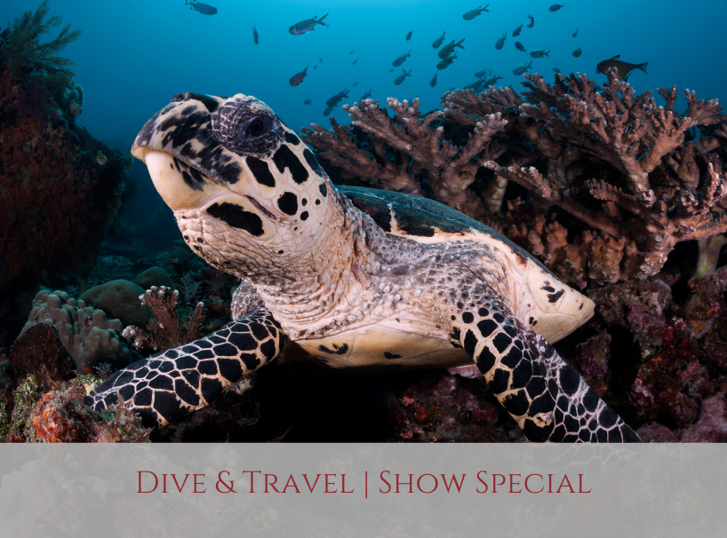 2023 Dive & Travel Show Special Siddhartha Bali