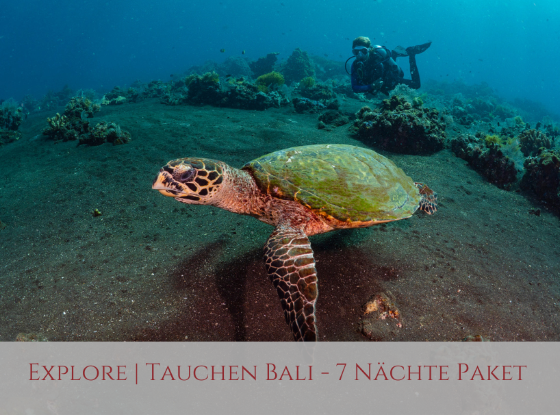 Siddhartha Bali Explore Special Offer