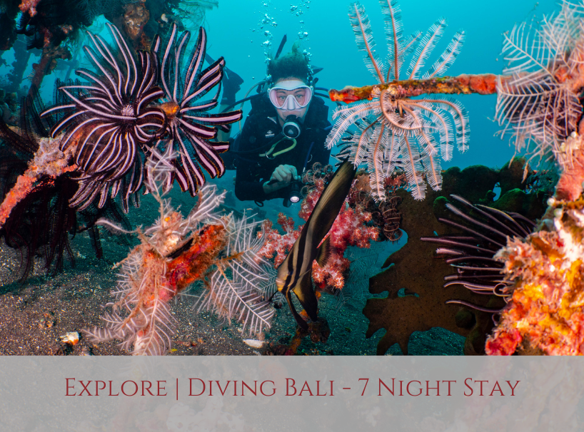 Siddhartha Bali Diving Resort