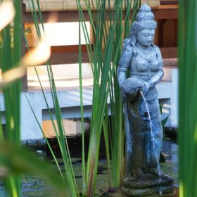 8_Siddhartha_Oceanfront-Resort_Lilly-Pond.jpg